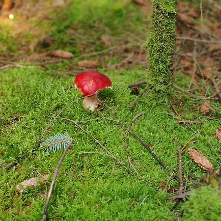 8 Person In Albaek-by Traum Casa de Férias Ålbæk