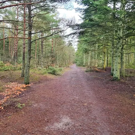 8 Person In Albaek-by Traum Casa de Férias